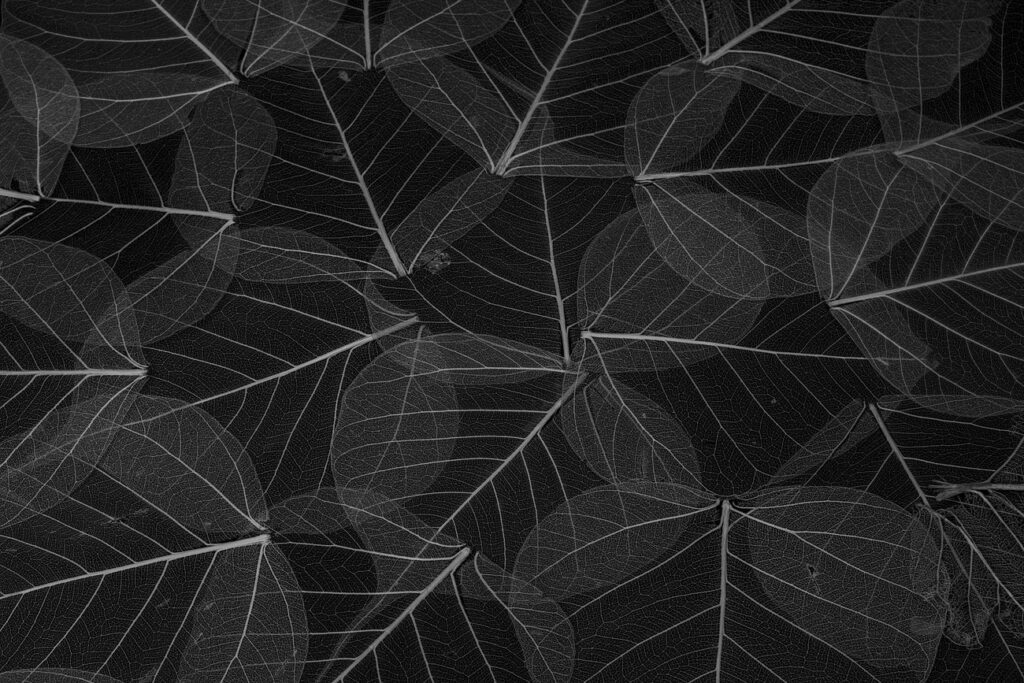 Black leaf pattern