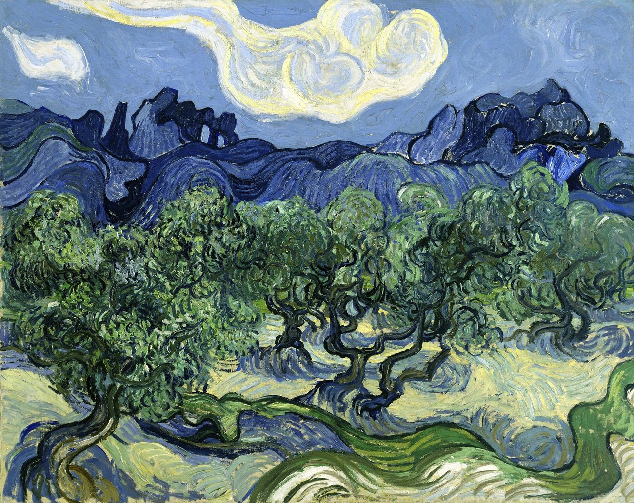 Vincent van Gogh's Olive Trees